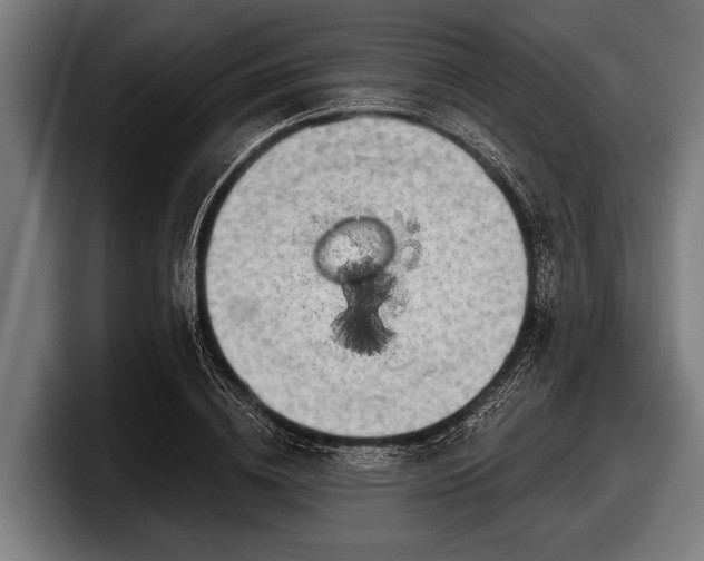 X0000097810836200803201416