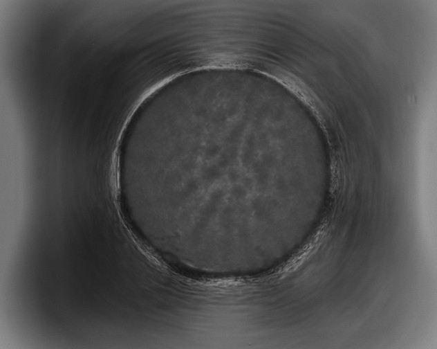 X0000097810838200803201416