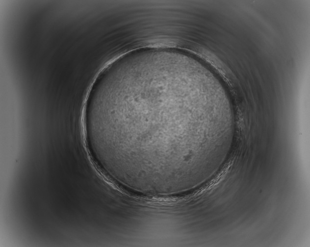 X0000097810840200803201416