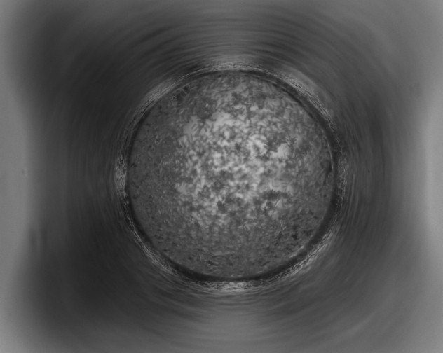 X0000097810841200803201416