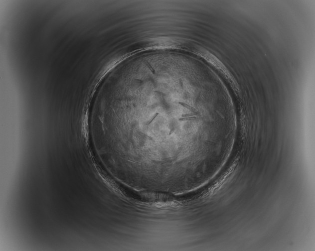 X0000097810842200803201416