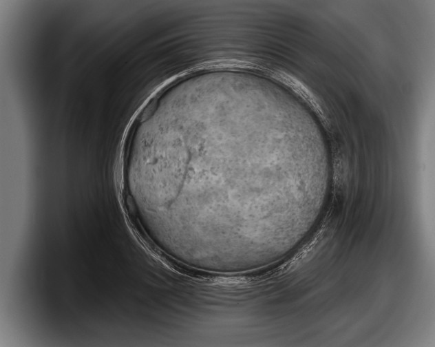 X0000097810844200803201416