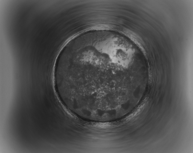 X0000097810845200803201416