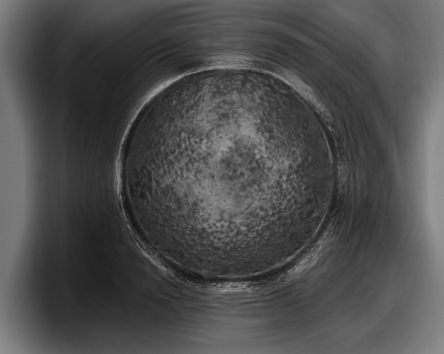 X0000097810846200803201416