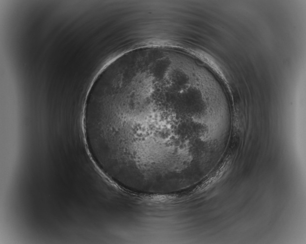 X0000097810847200803201416