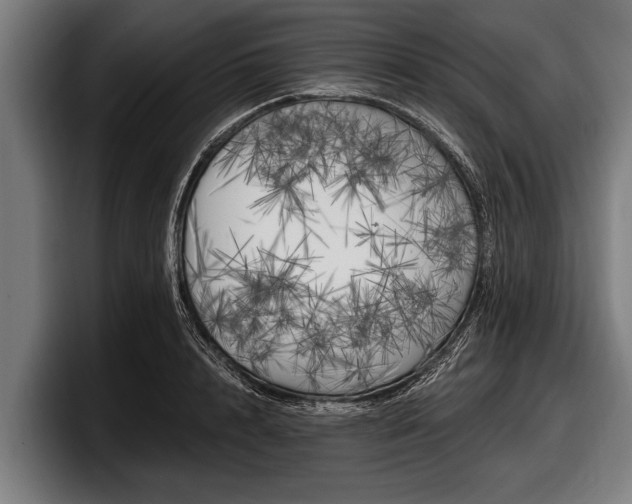 X0000097810848200803201416