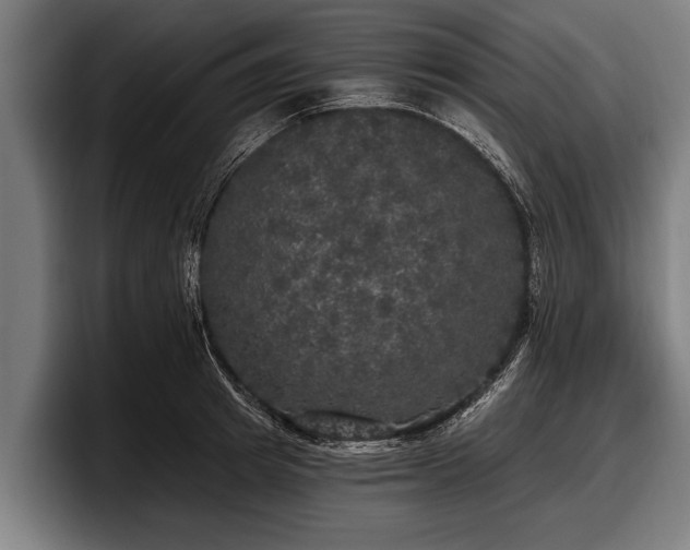 X0000097810849200803201416