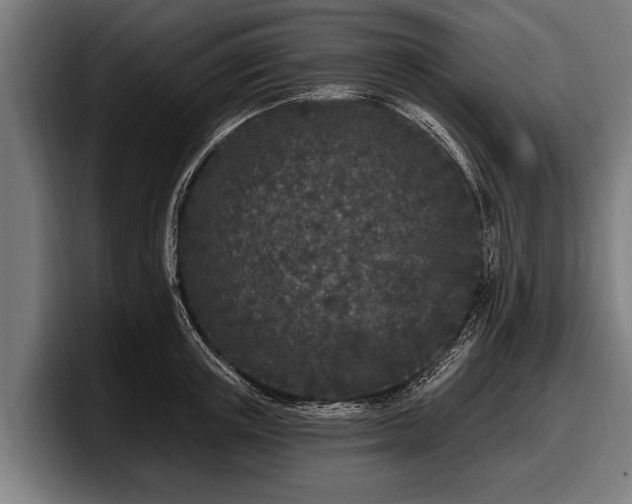 X0000097810851200803201416