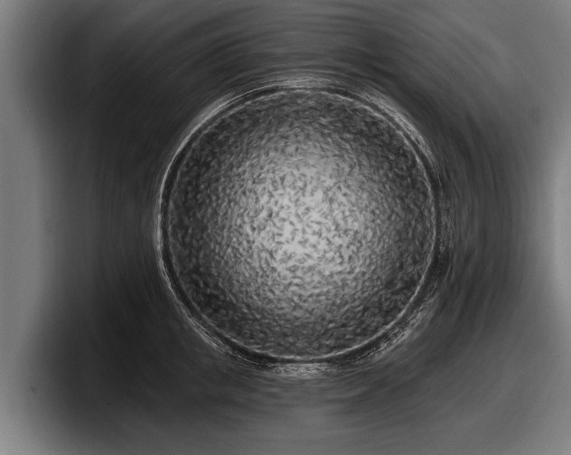 X0000097810853200803201416