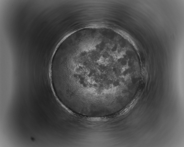 X0000097810855200803201416