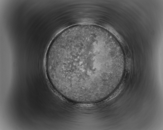 X0000097810856200803201416