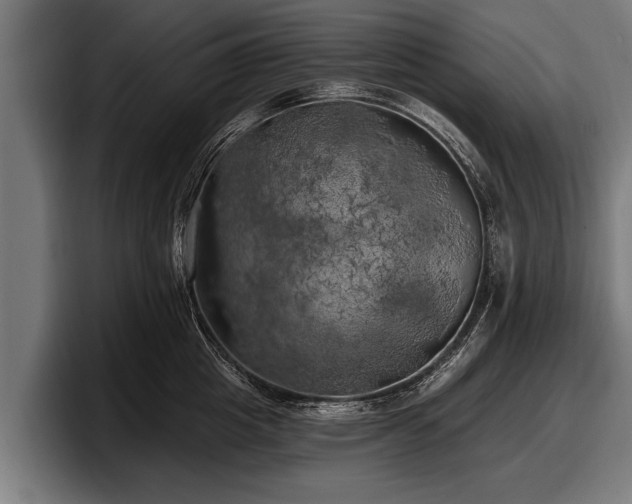 X0000097810857200803201416