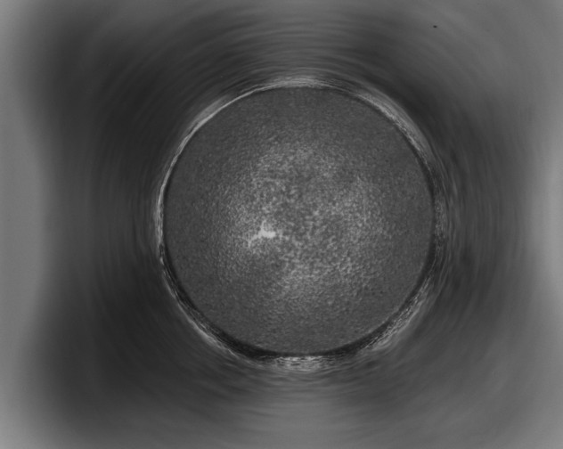 X0000097810858200803201416