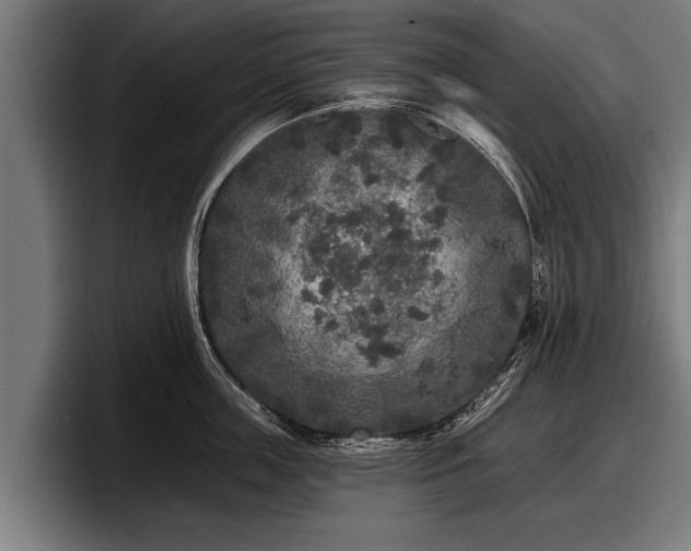 X0000097810859200803201416