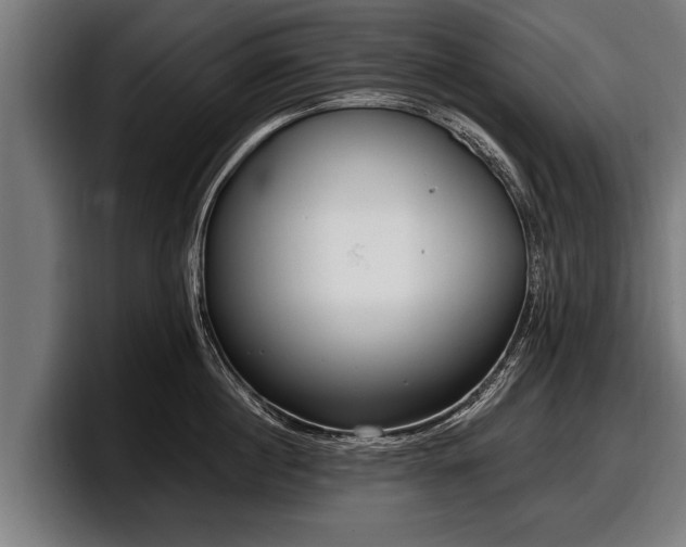 X0000097810860200803201416