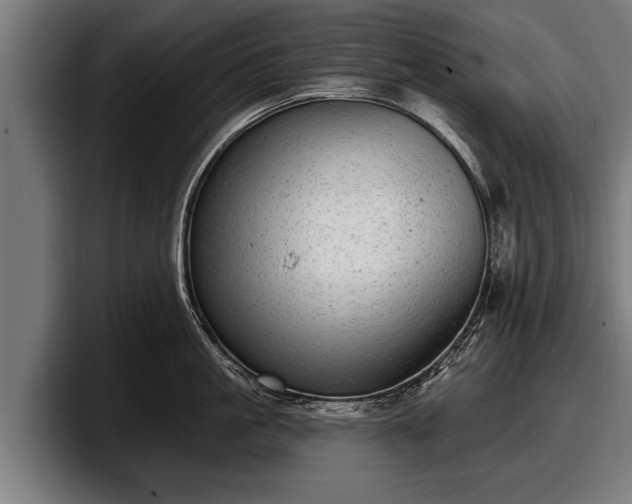 X0000097810861200803201416