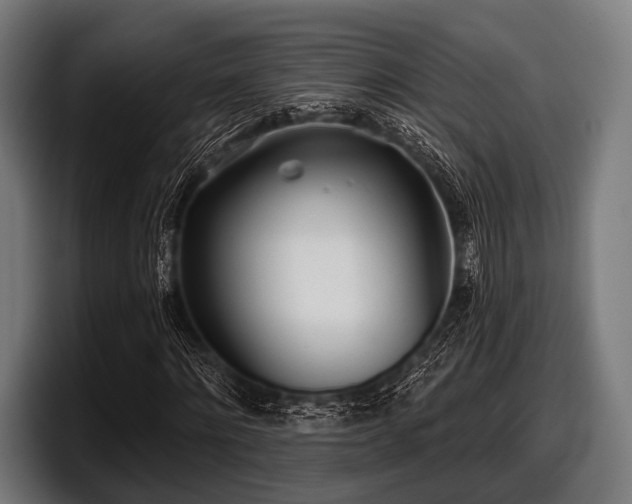 X0000097810868200803201415