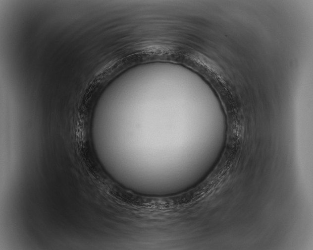 X0000097810869200803201415