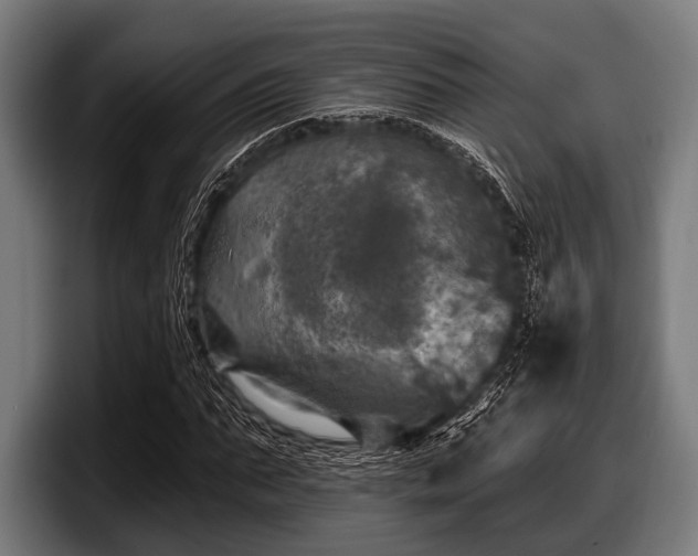 X0000097810871200803201415