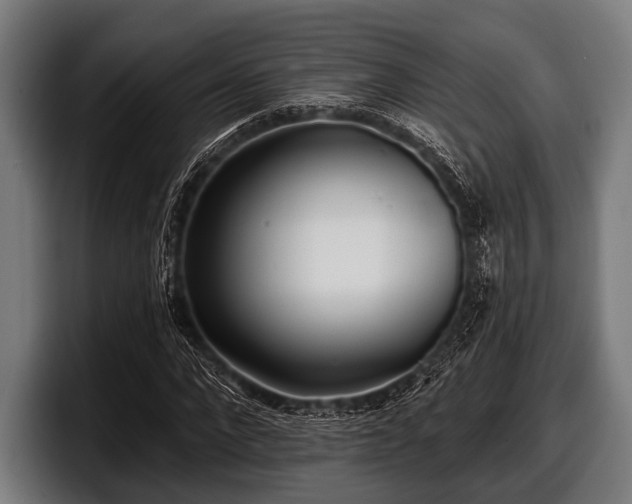 X0000097810872200803201415