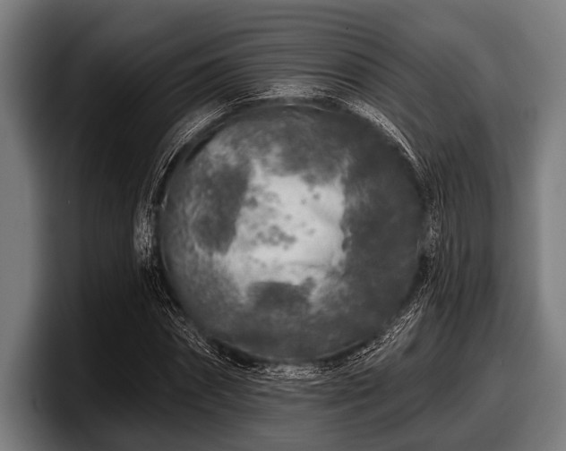 X0000097810874200803201415