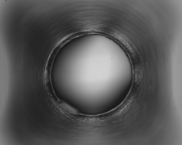 X0000097810876200803201415