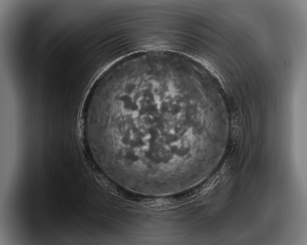 X0000097810879200803201415