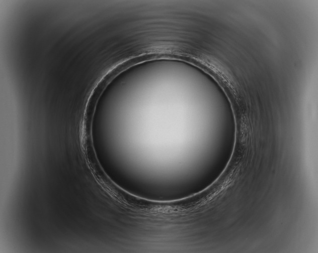 X0000097810880200803201415