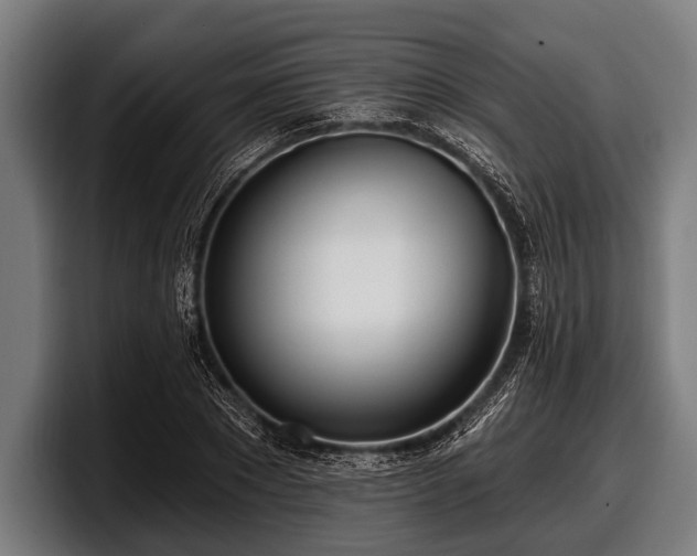 X0000097810881200803201415