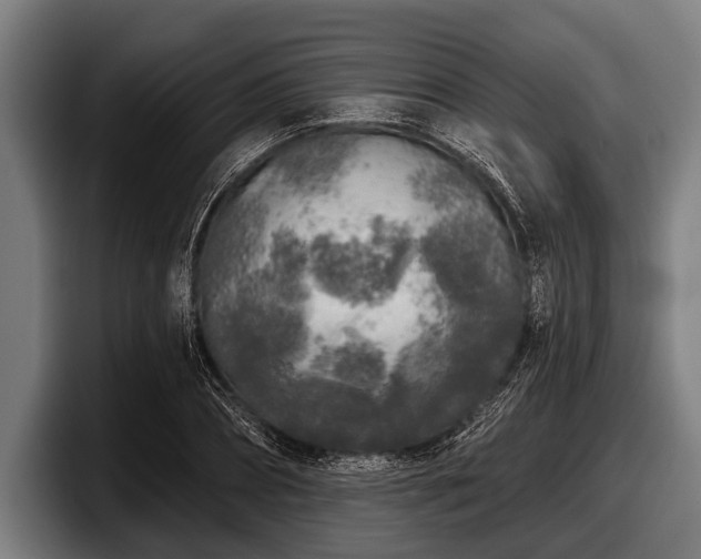 X0000097810882200803201415