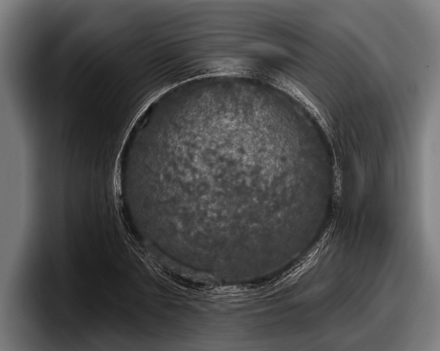 X0000097810883200803201415