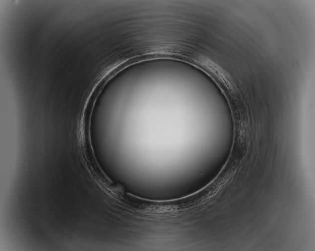 X0000097810884200803201415