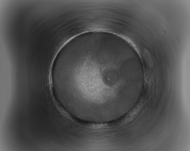 X0000097810887200803201415