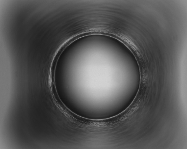 X0000097810888200803201415