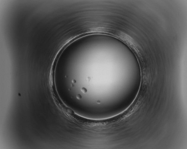 X0000097810892200803201415