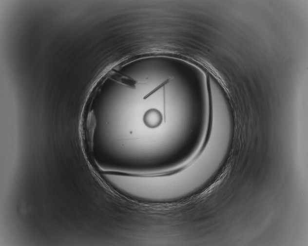 X0000097810893200803201415