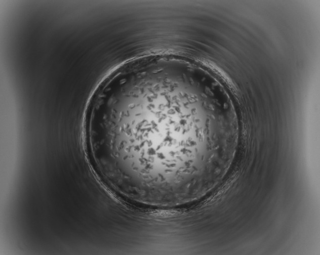 X0000097810894200803201415