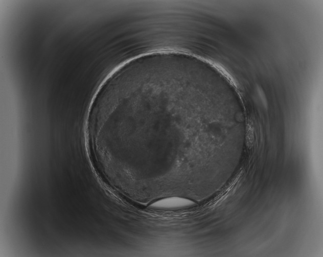 X0000097810895200803201415