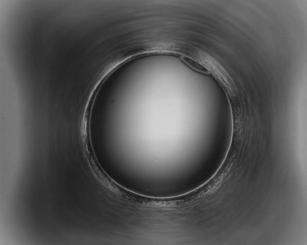 X0000097810900200803201415