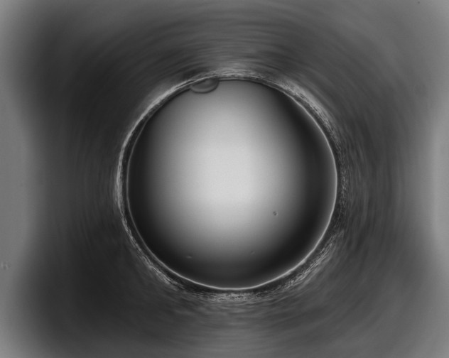 X0000097810902200803201415