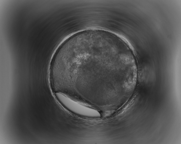 X0000097810903200803201415