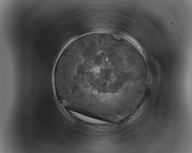 X0000097810907200803201415