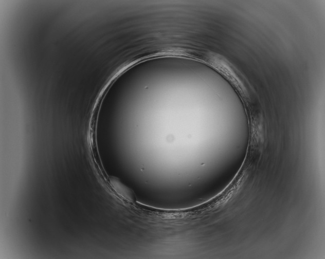 X0000097810908200803201415