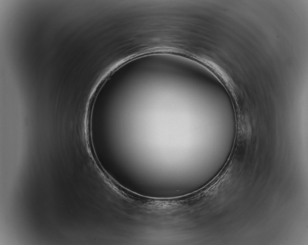 X0000097810910200803201415