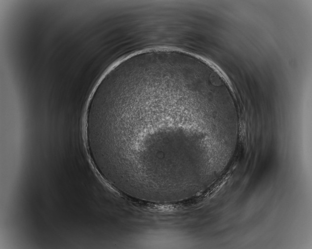 X0000097810911200803201415