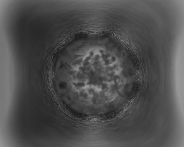 X0000097810913200803201414