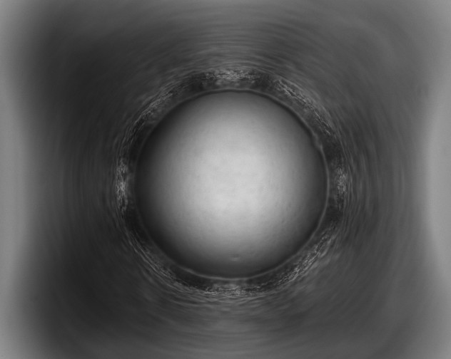 X0000097810914200803201414