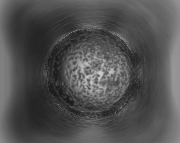 X0000097810919200803201414