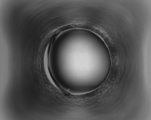 X0000097810920200803201414