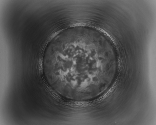 X0000097810921200803201414